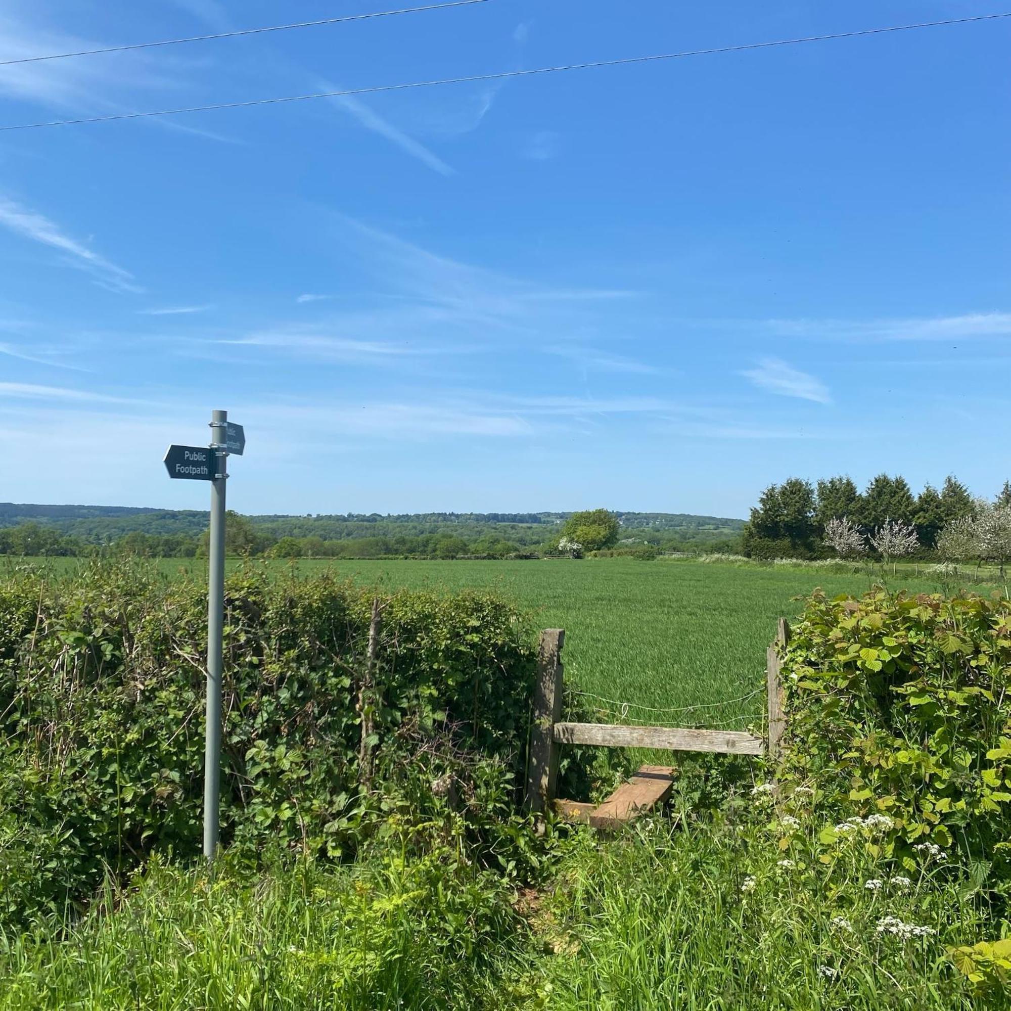 Palm House - Luxury Wye Valley 2 Bed - Dog Friendly *