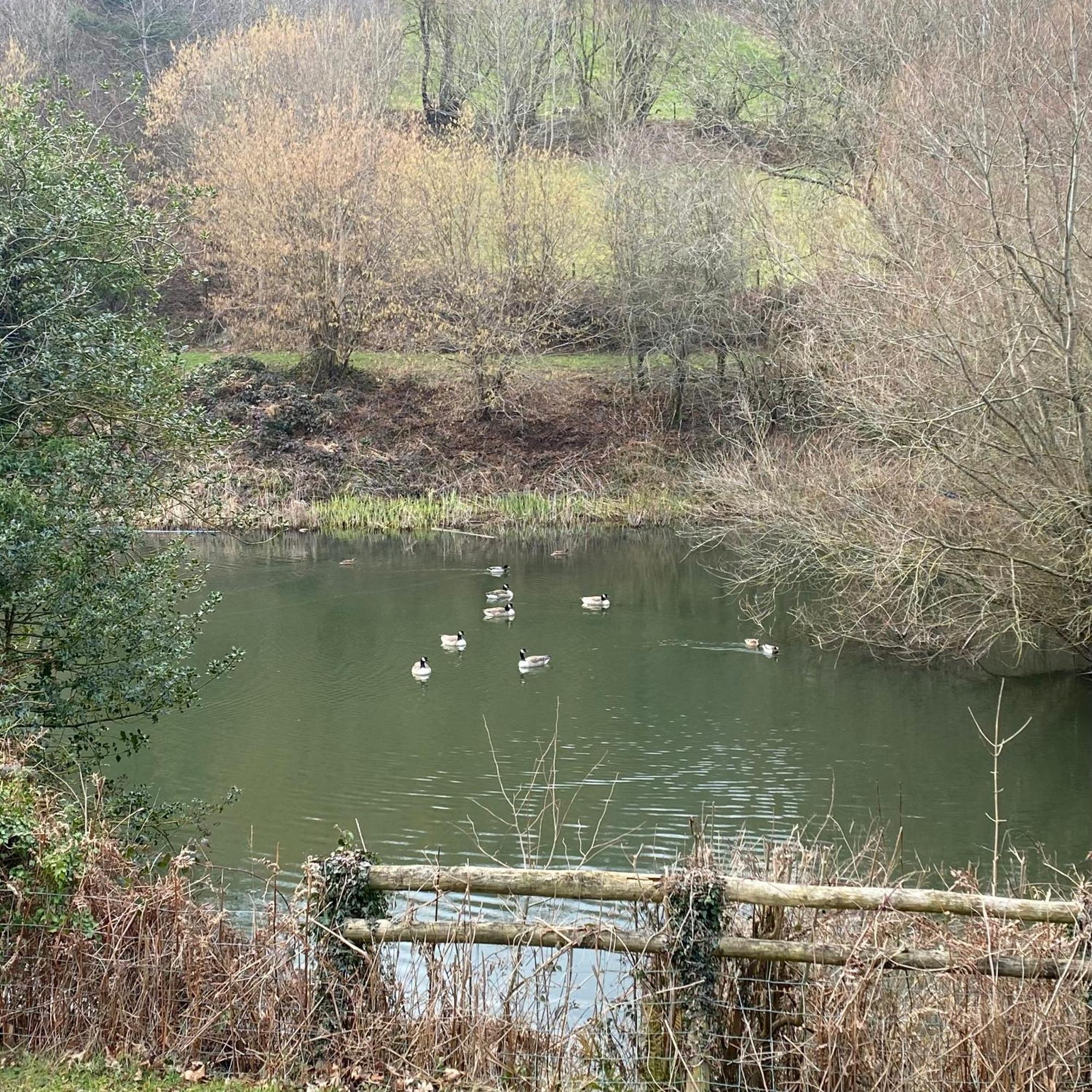 Palm House - Luxury Wye Valley 2 Bed - Dog Friendly Newland